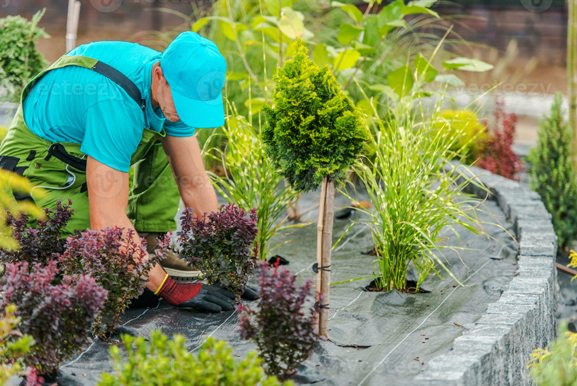 Gardening and Yard Maintenance