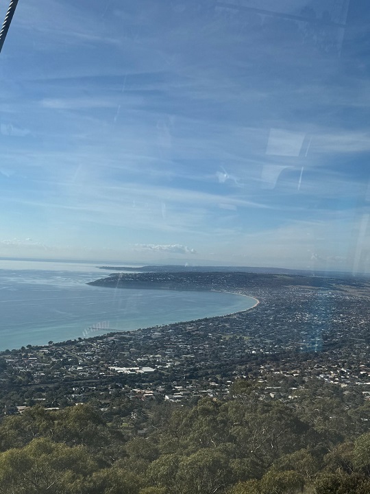 Arthurs Seat Eagle VASS NDIS